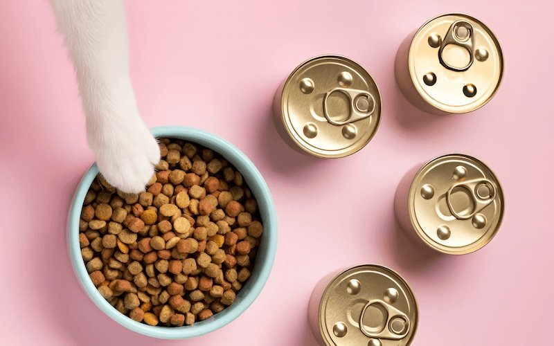 Chọn loại hạt chất lượng cao, giàu protein và các dưỡng chất thiết yếu