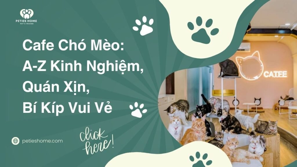 Cafe Chó Mèo: A-Z Kinh Nghiệm, Quán Xịn, Bí Kíp Vui Vẻ