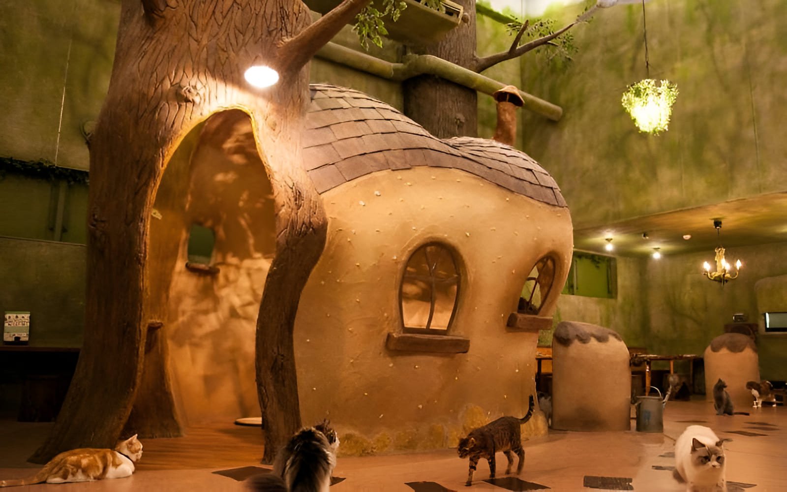 Không gian quán cafe chó mèo nên đủ rộng rãi, thoải mái để thú cưng có thể tự do di chuyển, vui chơi