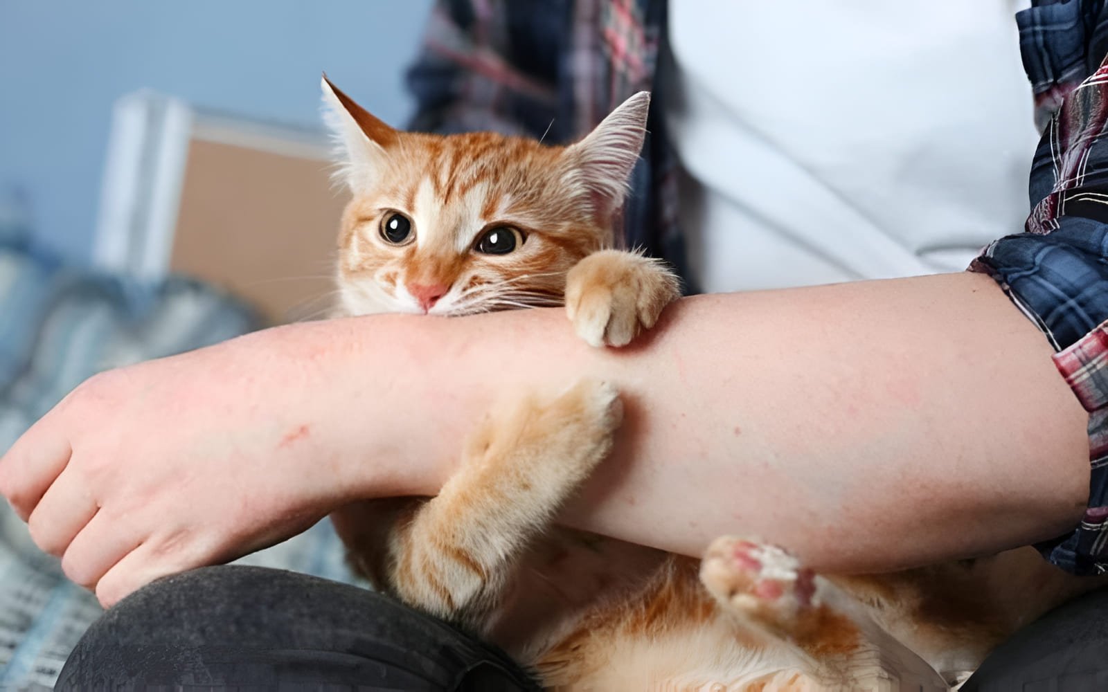 Điều quan trọng là bạn cần tôn trọng