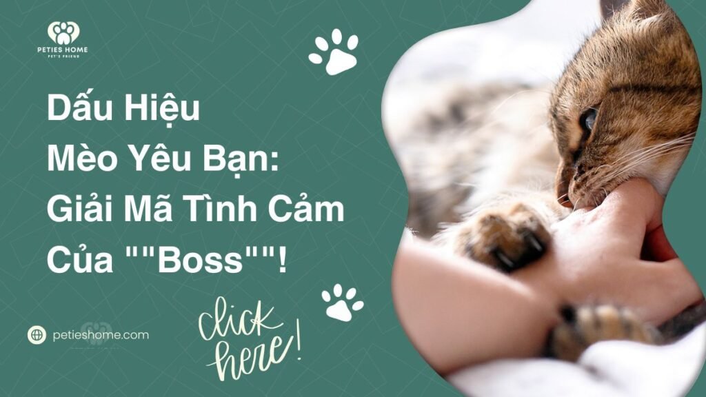 Dấu Hiệu Mèo Yêu Bạn: Giải Mã Tình Cảm Của ""Boss""!