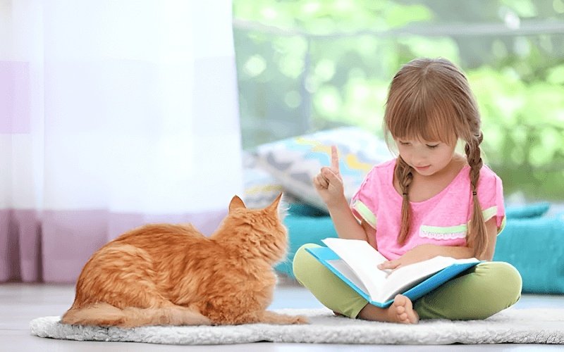 Trêu chọc hoặc làm phiền mèo có thể dẫn đến phản ứng tự vệ như cắn hoặc cào