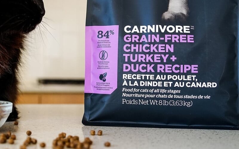 Chất lượng và nguồn gốc của protein động vật vẫn là yếu tố quan trọng nhất