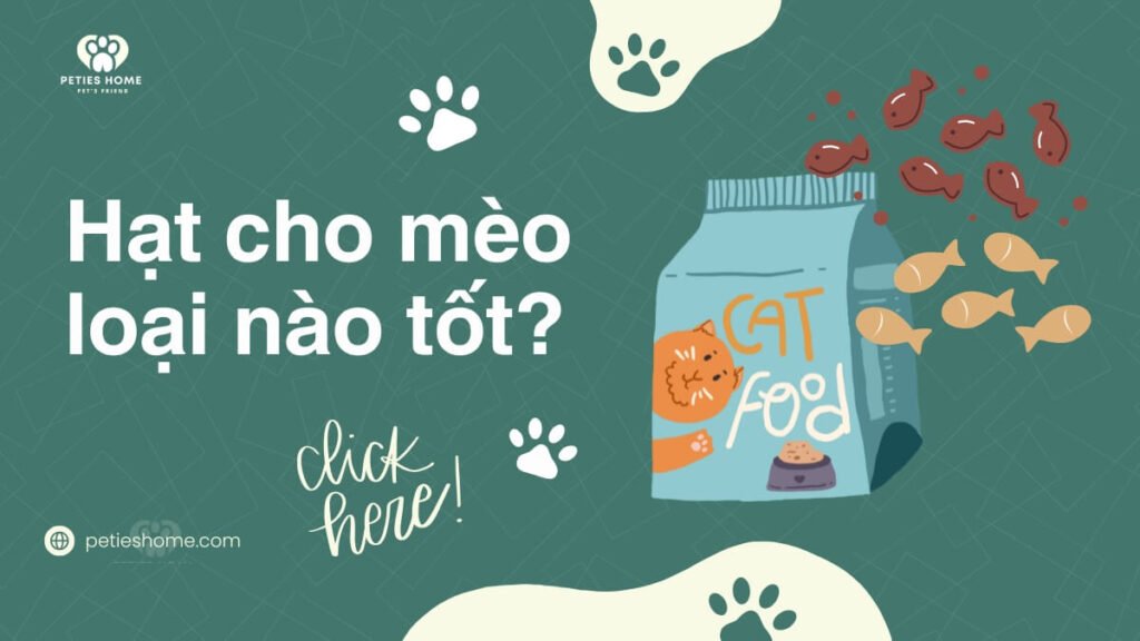 Hạt Cho Mèo Loại Nào Tốt? 5 Tiêu Chí Chọn Hạt Từ Chuyên Gia