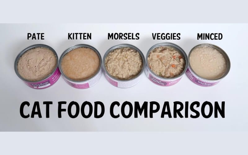 Mousse, loaf, hay thịt miếng trong sốt? Mỗi chú mèo có một 