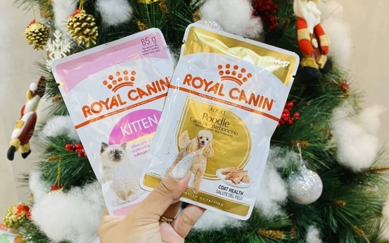 Pate Royal Canin với công thức dinh dưỡng khoa học, là lựa chọn thức ăn hoàn chỉnh đáng tin cậy cho nhiều giai đoạn phát triển của mèo