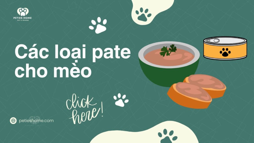 Pate cho mèo loại nào tốt? Review các loại phổ biến và cách chọn